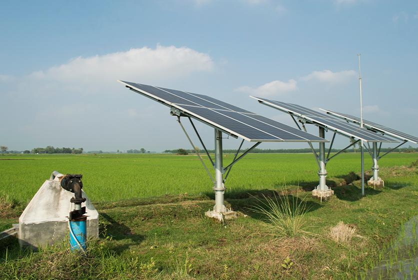 Agricultural Solar Plant